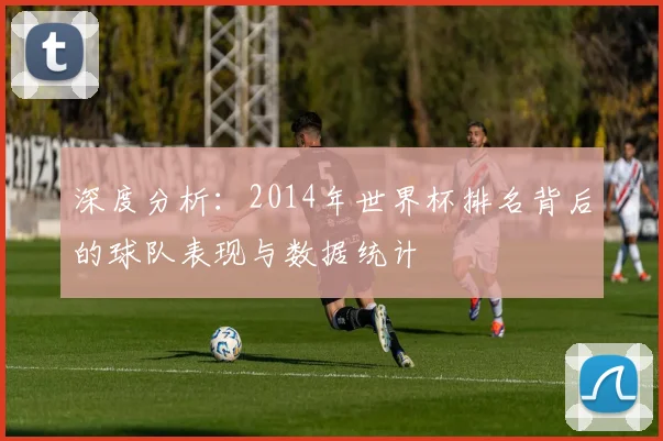 深度分析：2014年世界杯排名背后的球队表现与数据统计