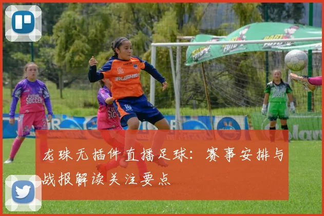 龙珠无插件直播足球：赛事安排与战报解读关注要点