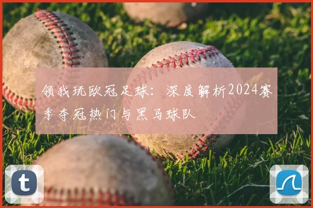 领我玩欧冠足球：深度解析2024赛季夺冠热门与黑马球队