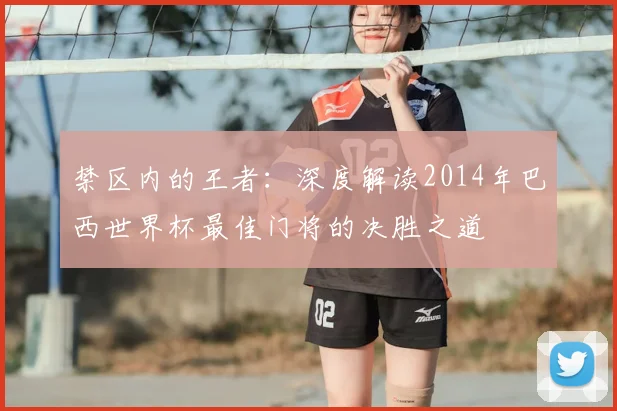 禁区内的王者：深度解读2014年巴西世界杯最佳门将的决胜之道