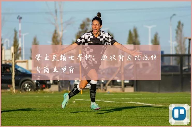 禁止直播世界杯：版权背后的法律与商业博弈