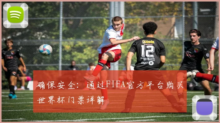确保安全：通过FIFA官方平台购买世界杯门票详解