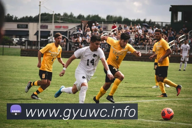 App Interface Preview