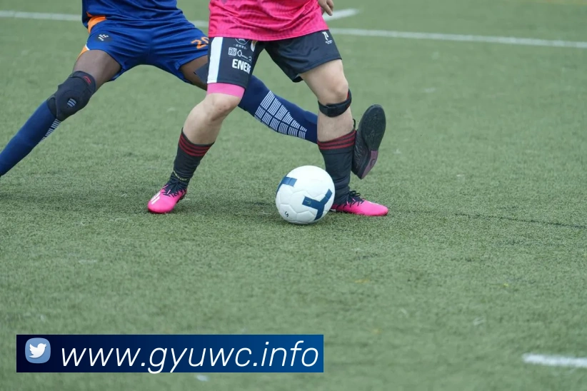 九游app网页版APP 封面图